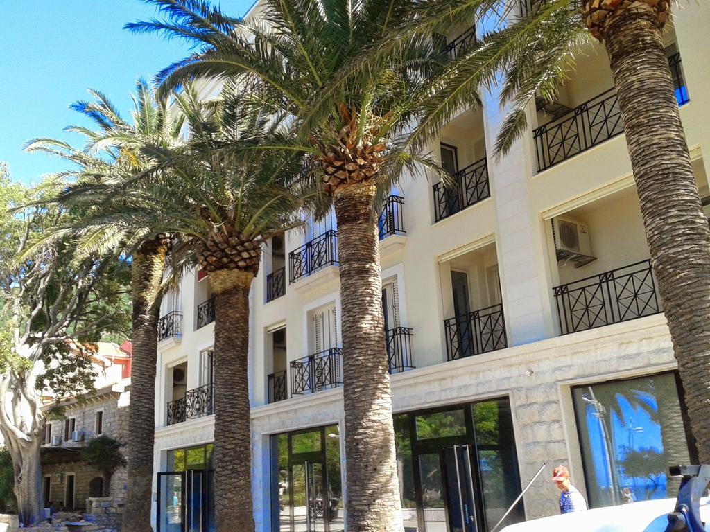 Apartments Dangubic Petrovac 部屋 写真