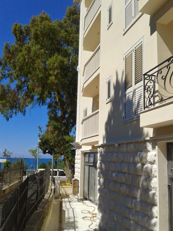 Apartments Dangubic Petrovac エクステリア 写真